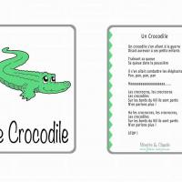 Crocodile