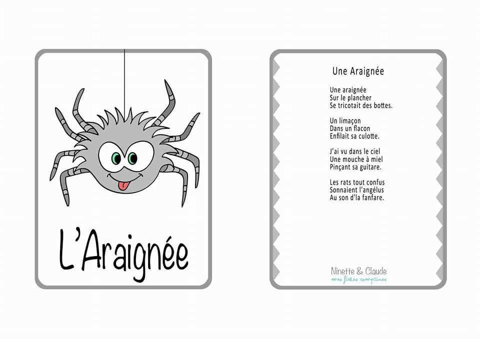 Araignée