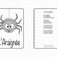 Araignée